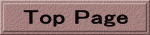 Top Page 